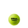Wilson Triniti Tennis Balls (Pack Of 3) (Green) -Tennis Squash Shop k7baae1ba152f8f80f982c5c39e71b7de